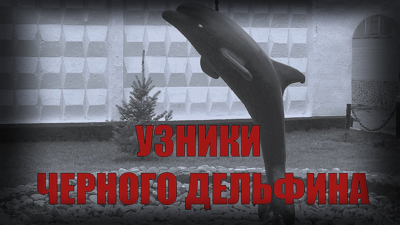 Черный дельфин россия. Чёрный Дельфин тюрьма статуя. Чёрный Дельфин тюрьма 2023. Черный Дельфин Криминальная Россия. Оренбург тюрьма черный Дельфин.